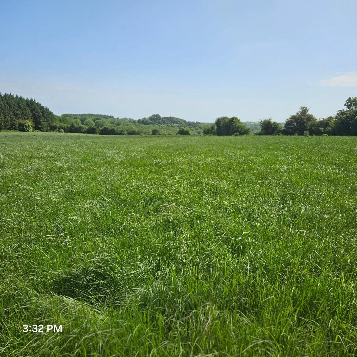 Silage ground for 1st cut silage