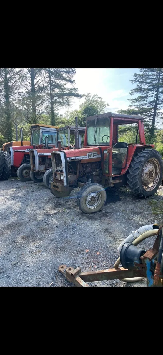 Massey Ferguson 565 - Image 1