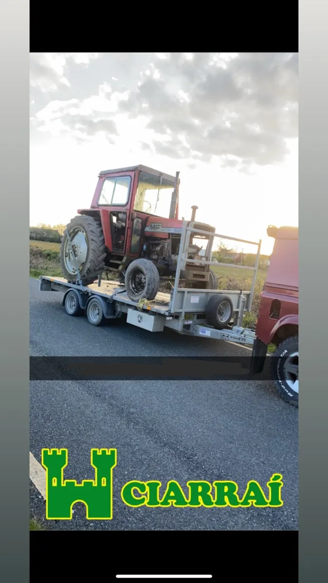 Massey Ferguson 565 - Image 3