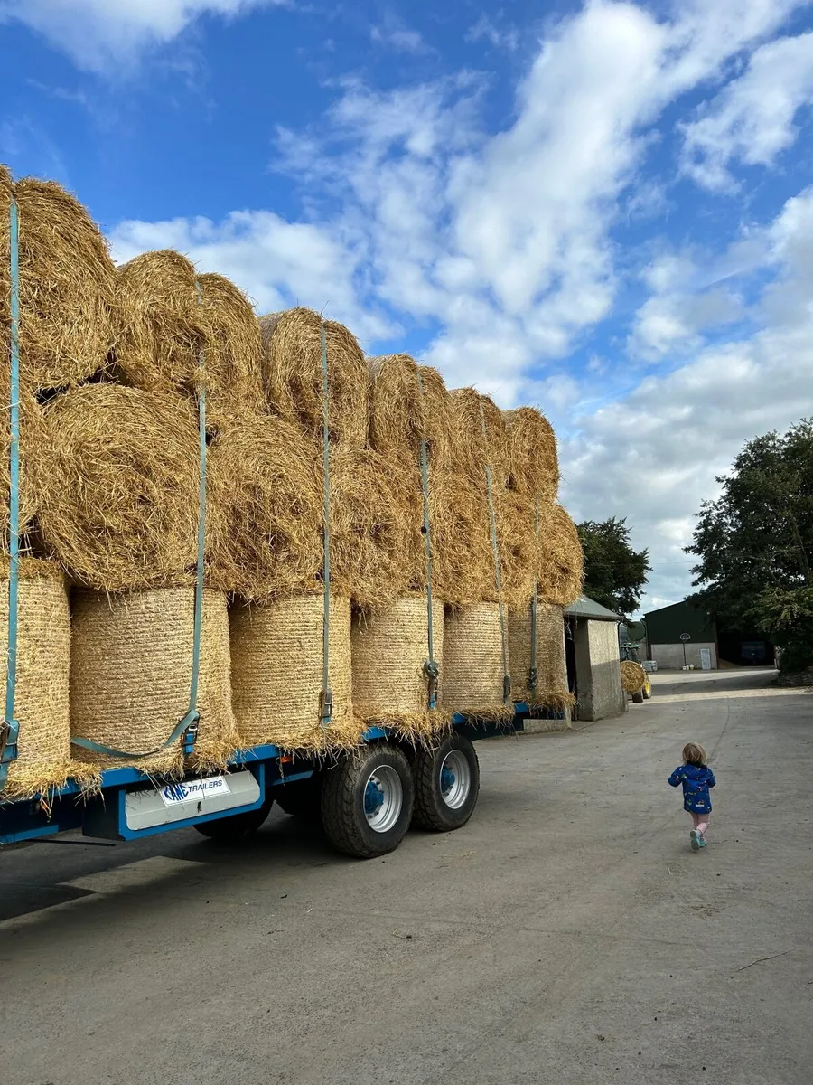 Straw - Image 2