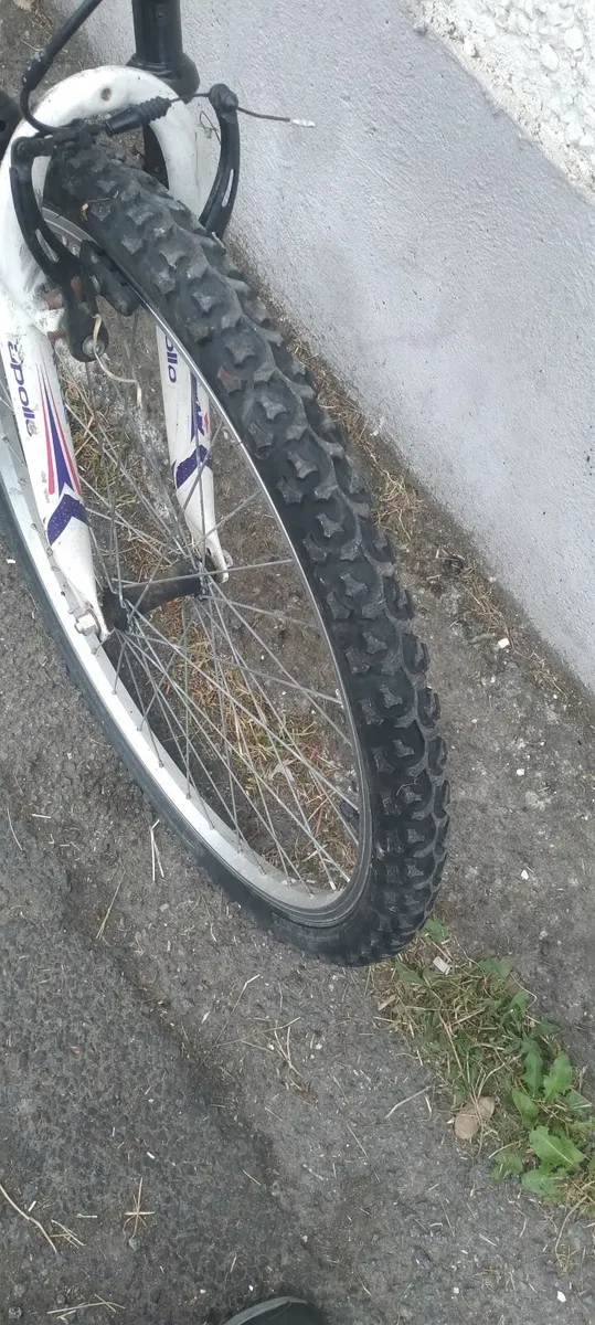 26inch bike all working fine price too sell 70e - Image 2