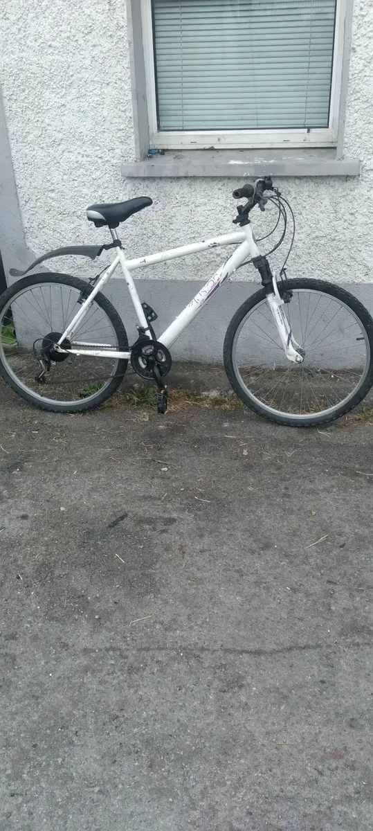 26inch bike all working fine price too sell 70e - Image 3