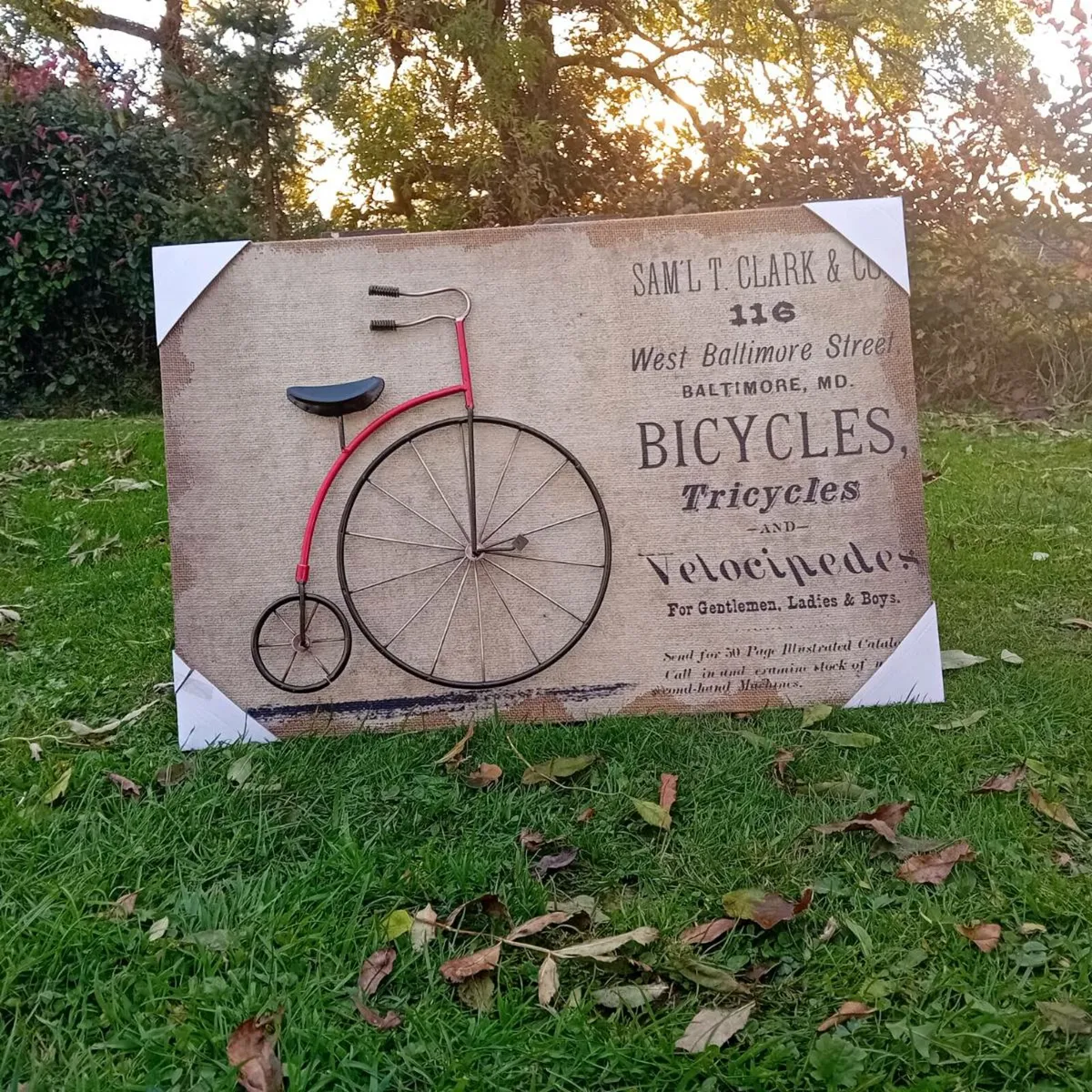 Penny Farthing 3D Picture - Image 2