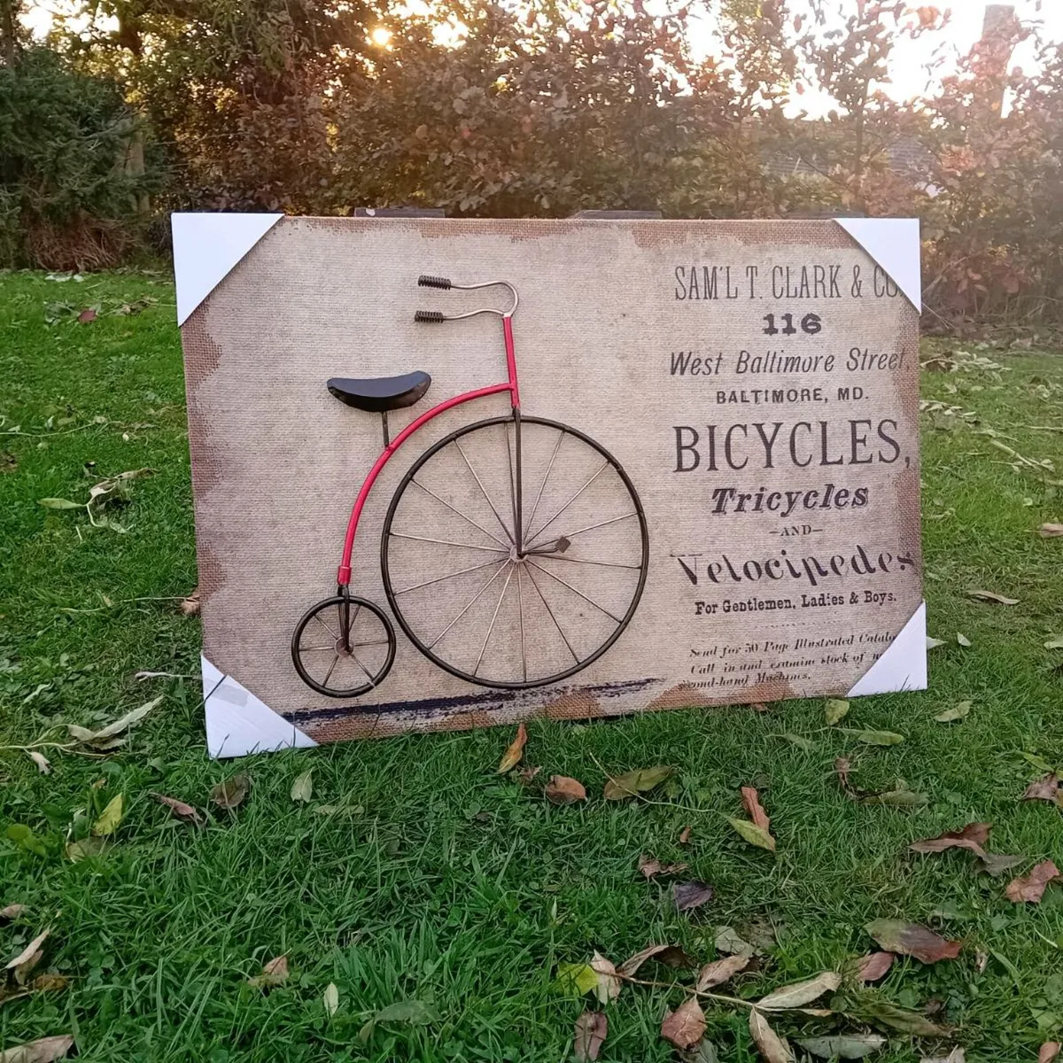 Penny Farthing 3D Picture - Image 1