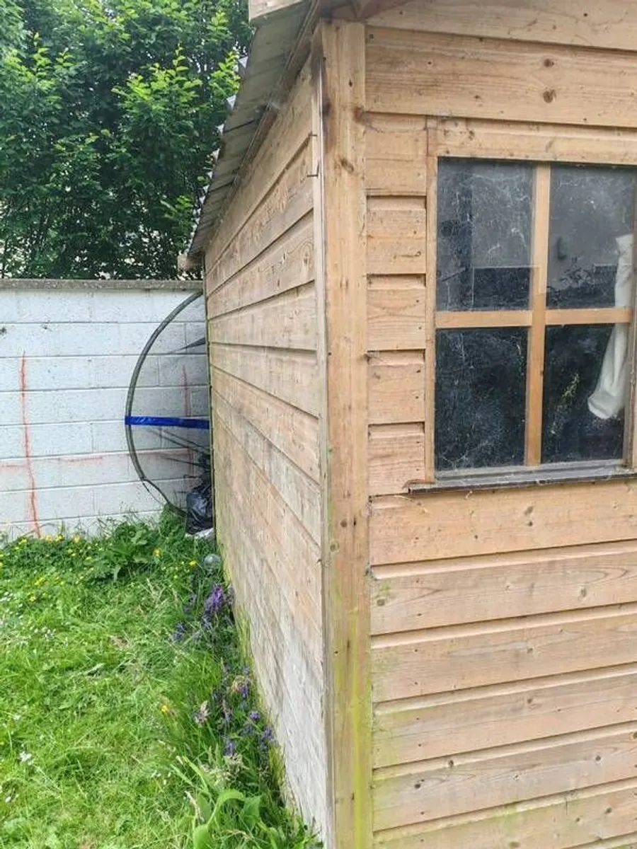 Premium garden shed - Image 3
