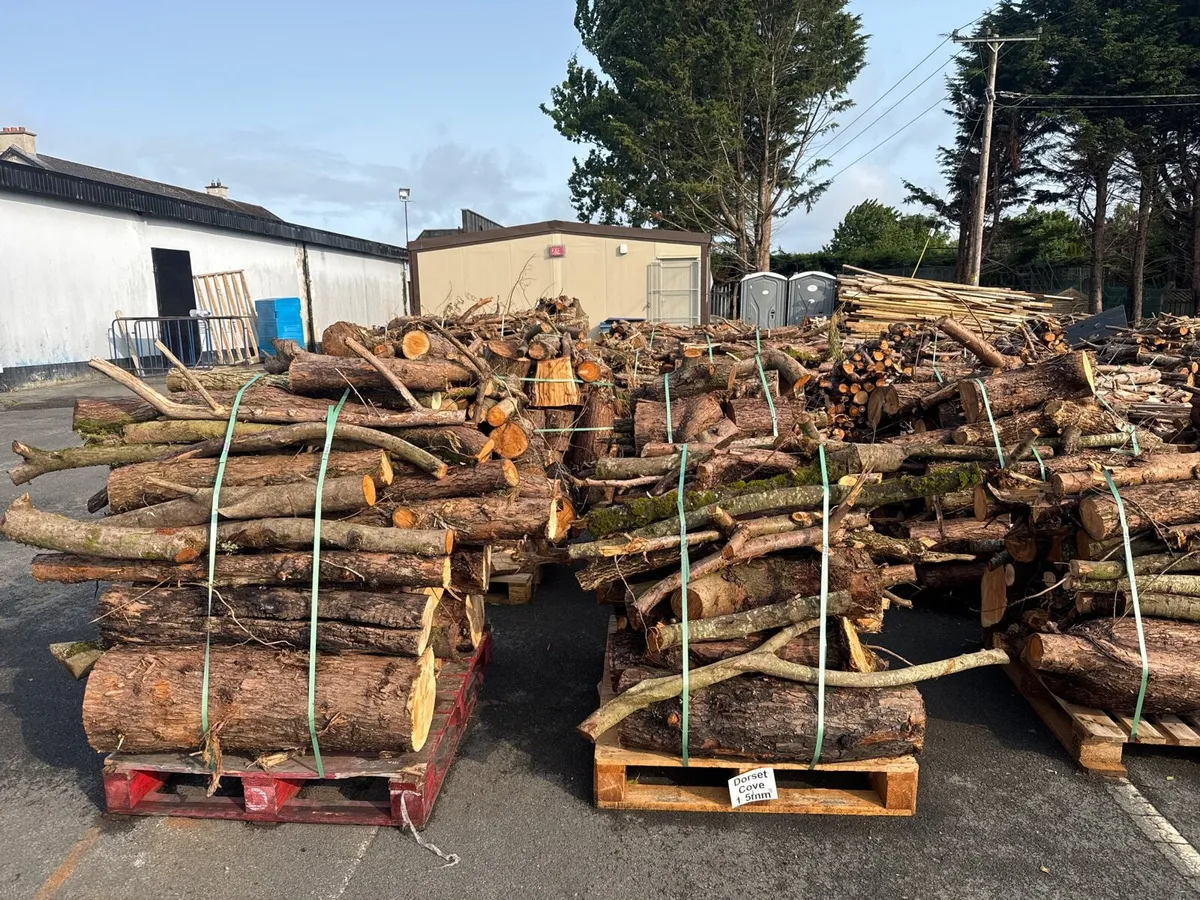 Fire wood - Image 1