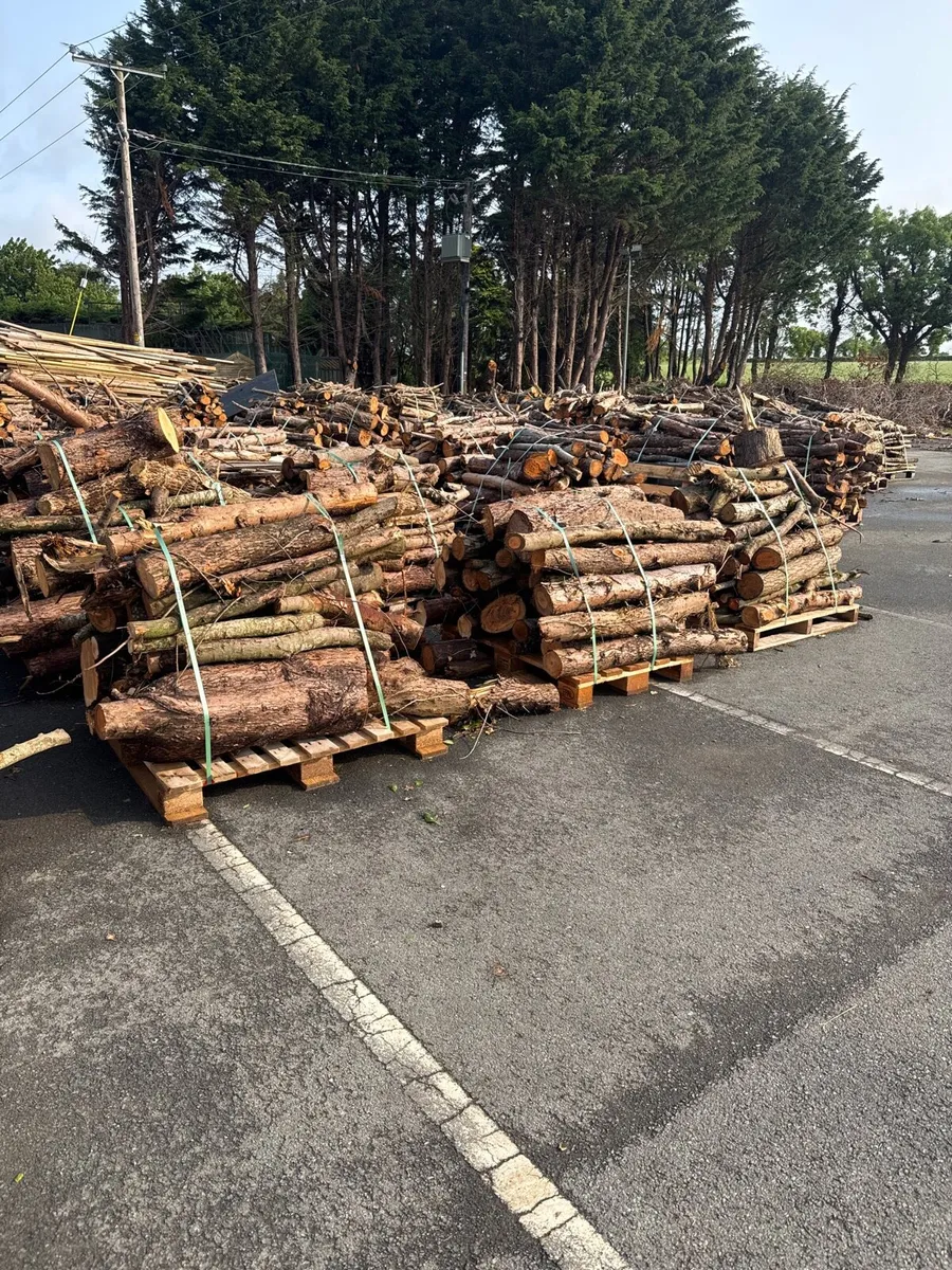 Fire wood - Image 2