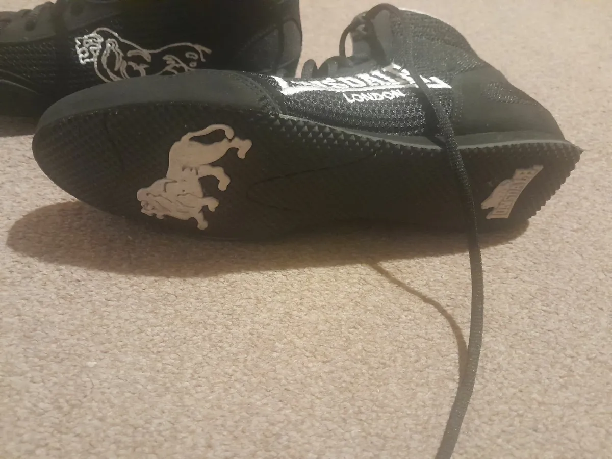 Boxing boots - Image 1