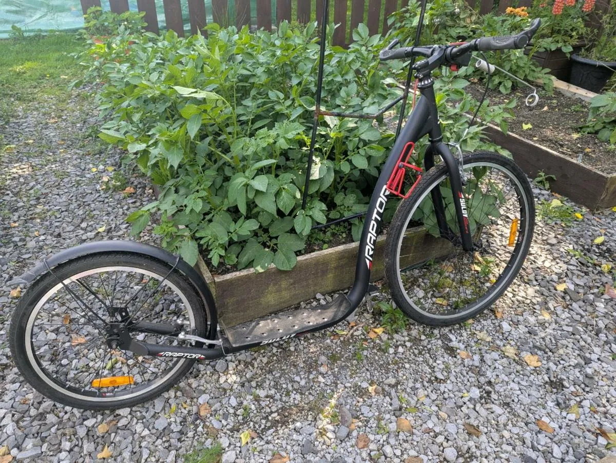 Scooter - Image 2