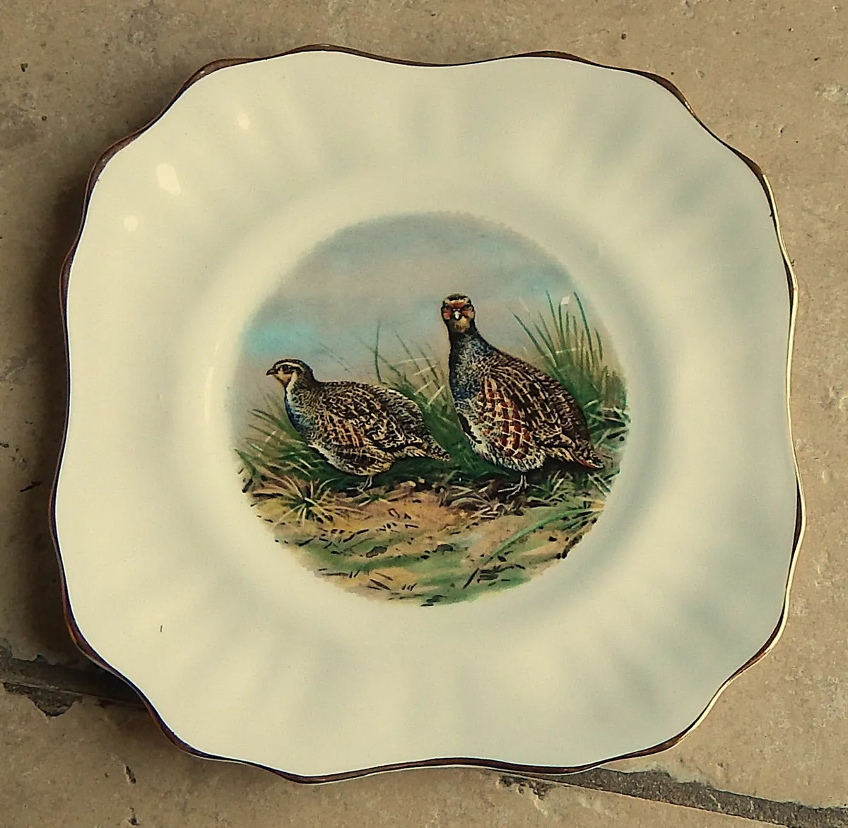 Pair of Vintage Arklow Pottery Bone China Plates - Image 2