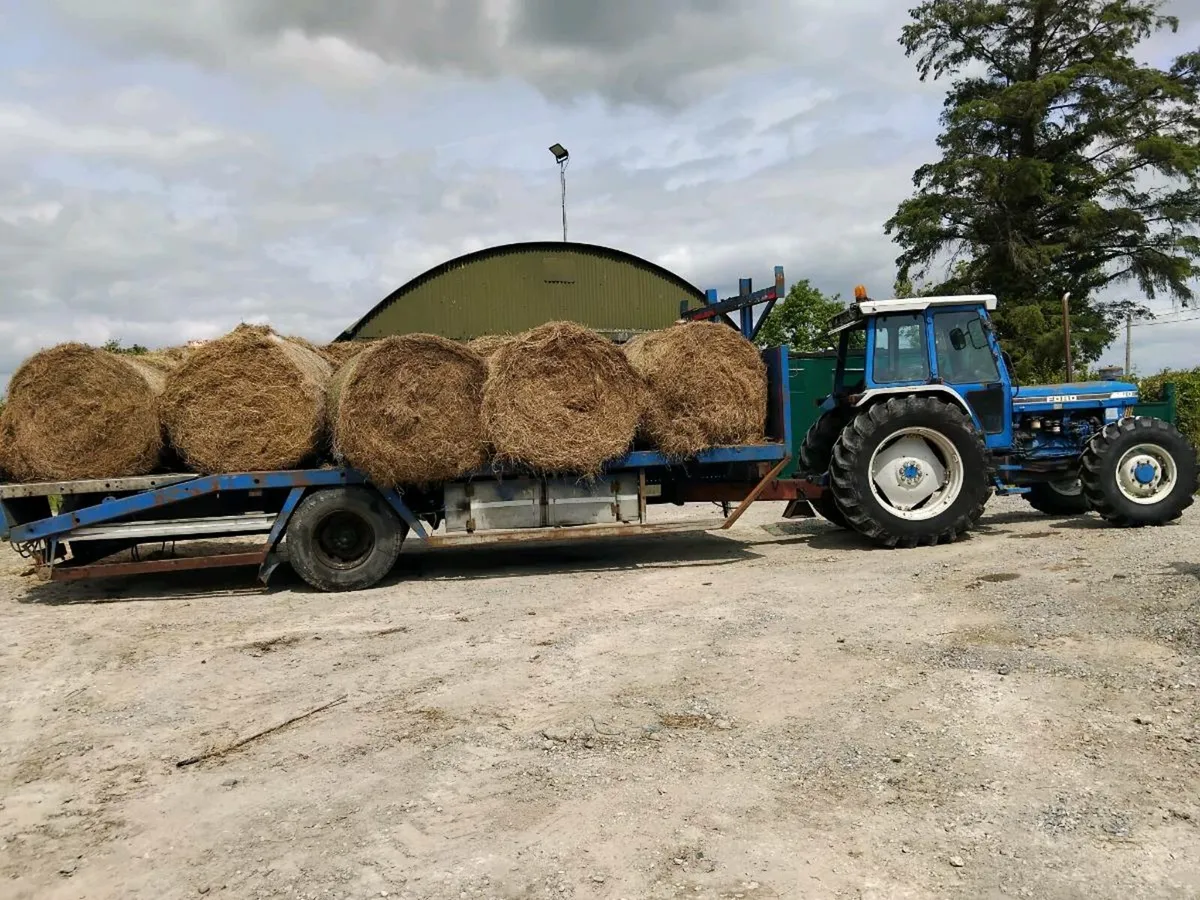 Trailer - Image 1