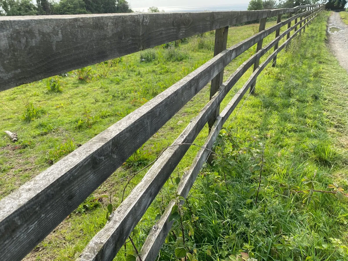 Timber post and rail - Image 1