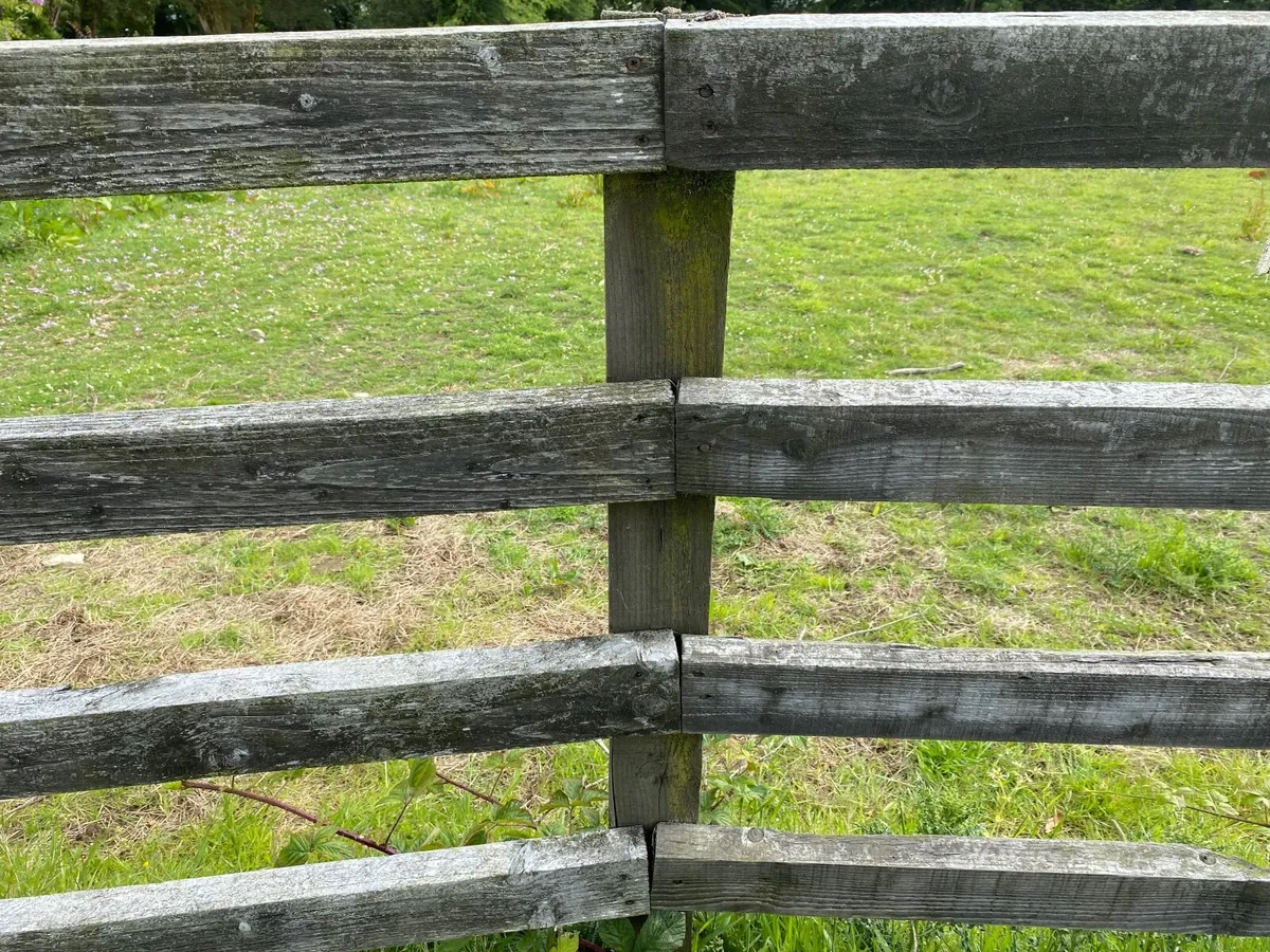 Timber post and rail - Image 2
