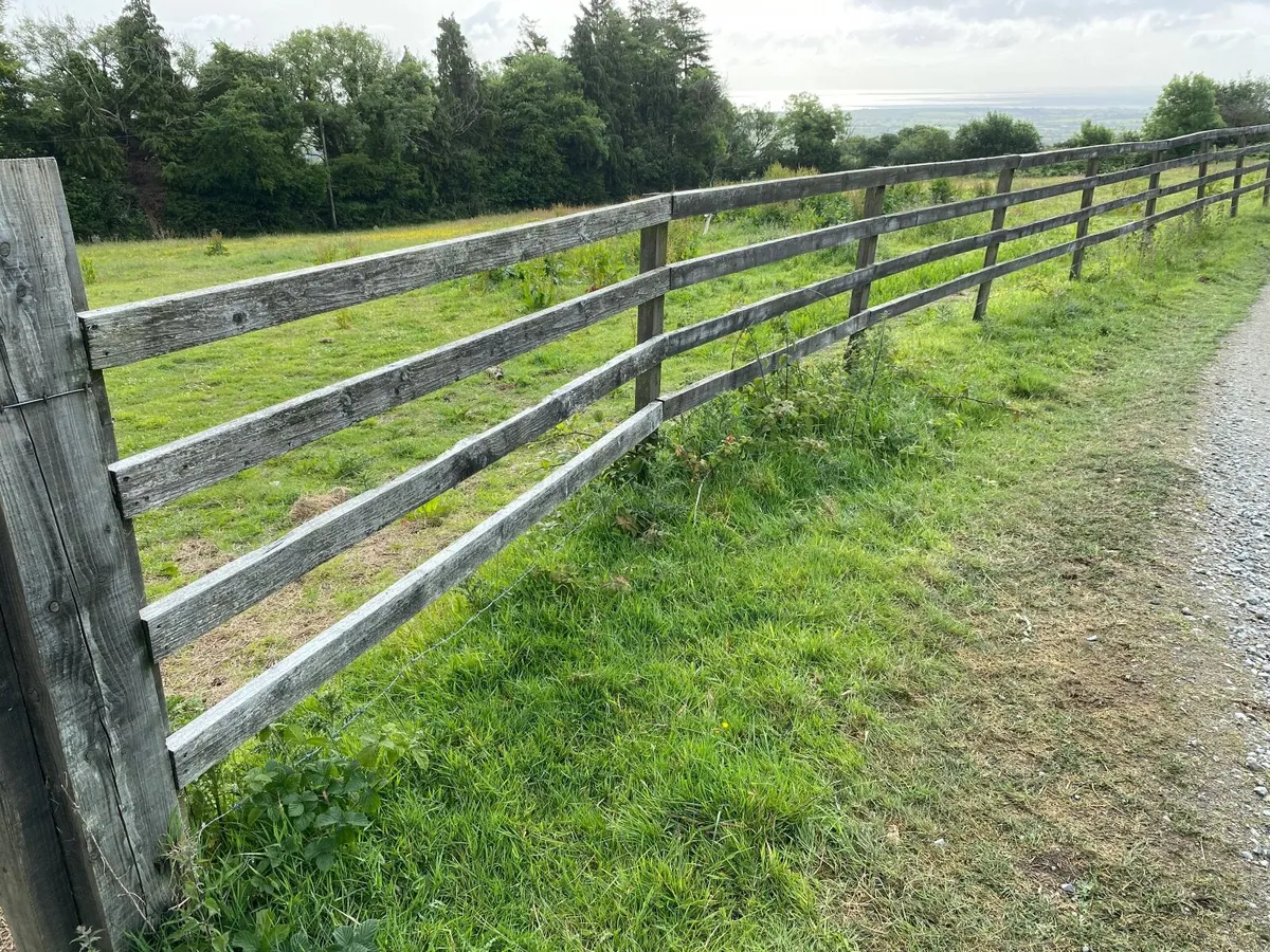 Timber post and rail - Image 4