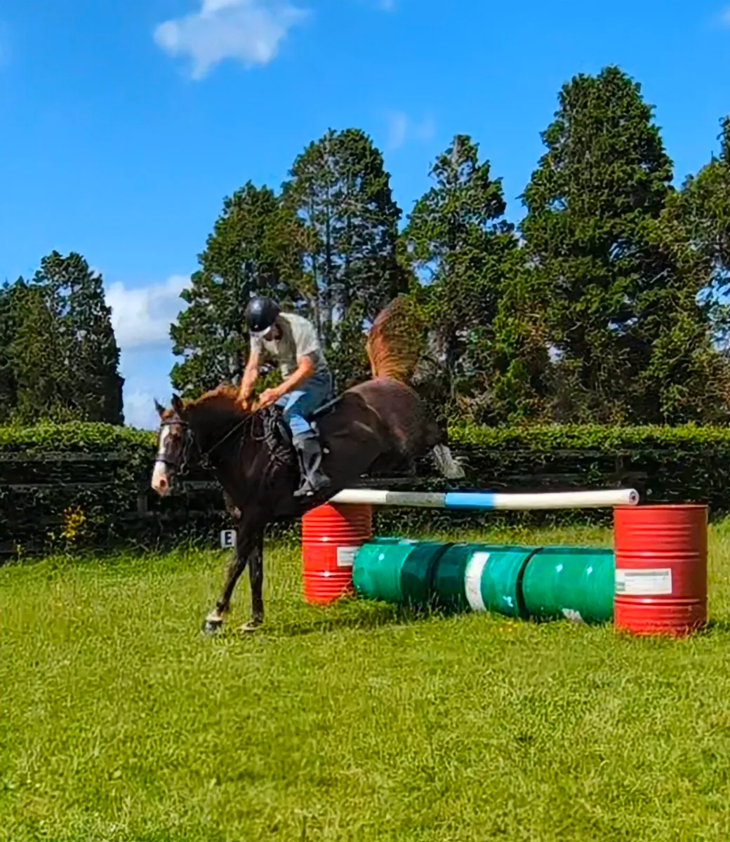 14.2 mare - Image 4