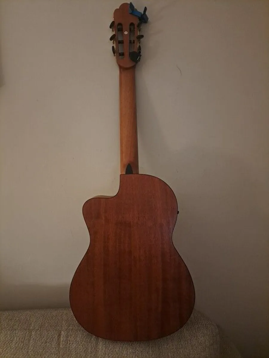 nylon string Salvador Cortez Electro-Acoustic guitar - Image 1