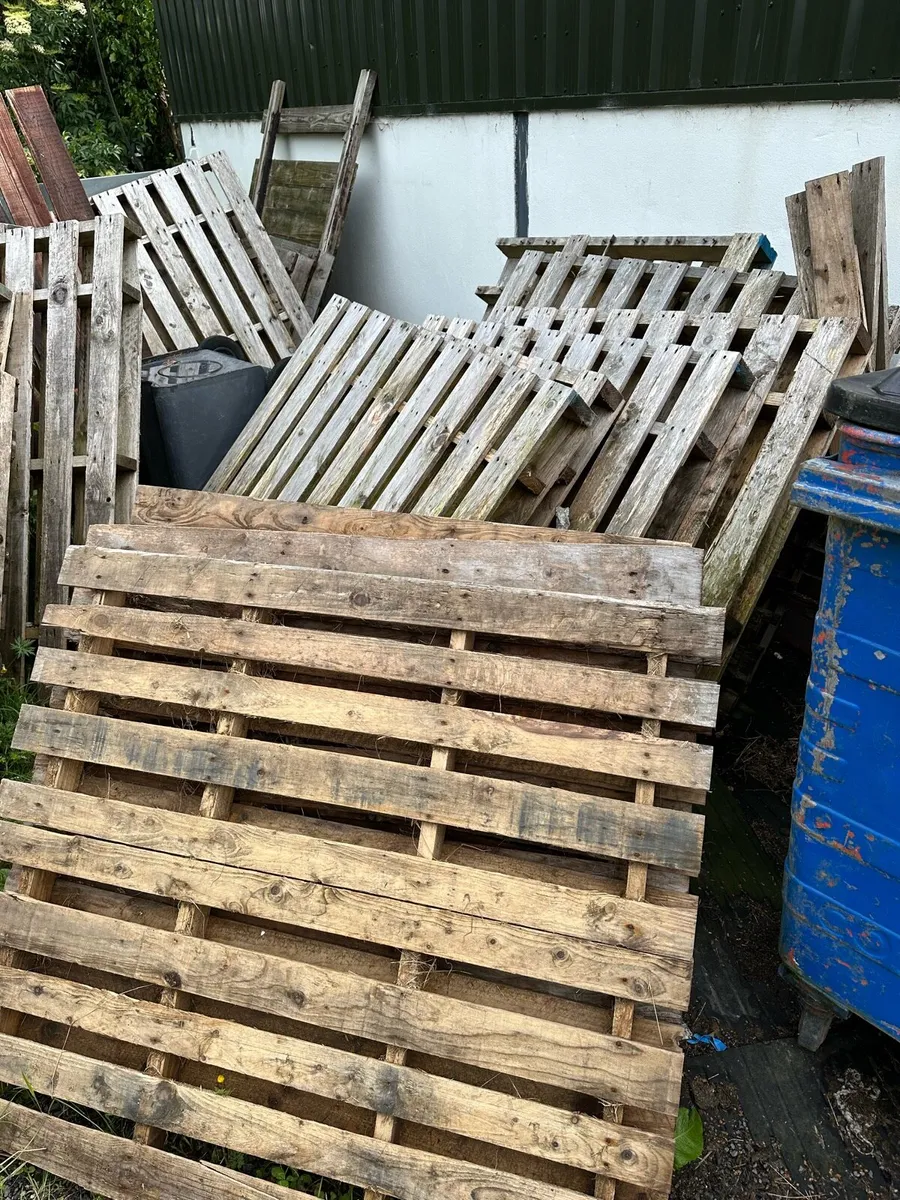 Wooden Pallets - Image 2