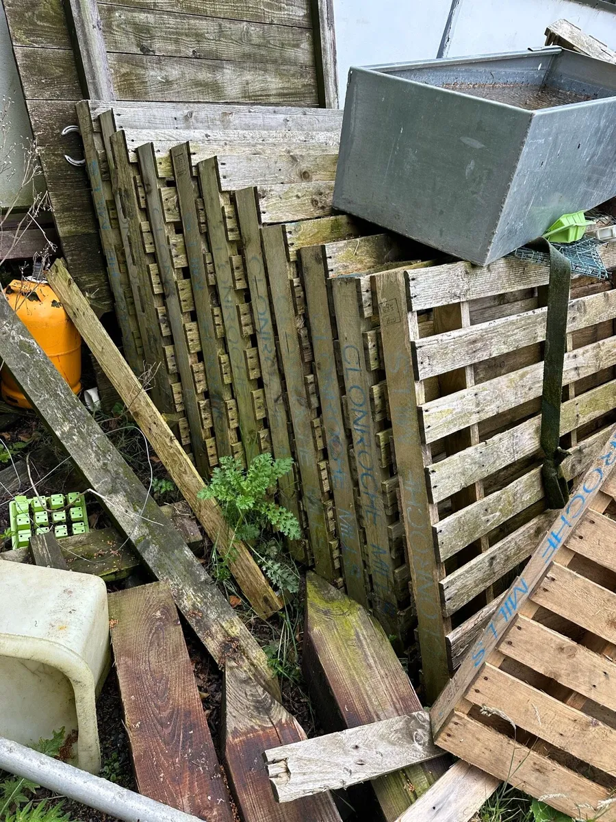 Wooden Pallets - Image 3