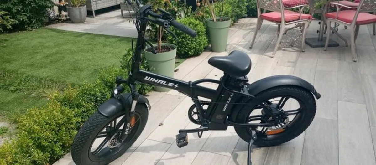 ebike - Image 1