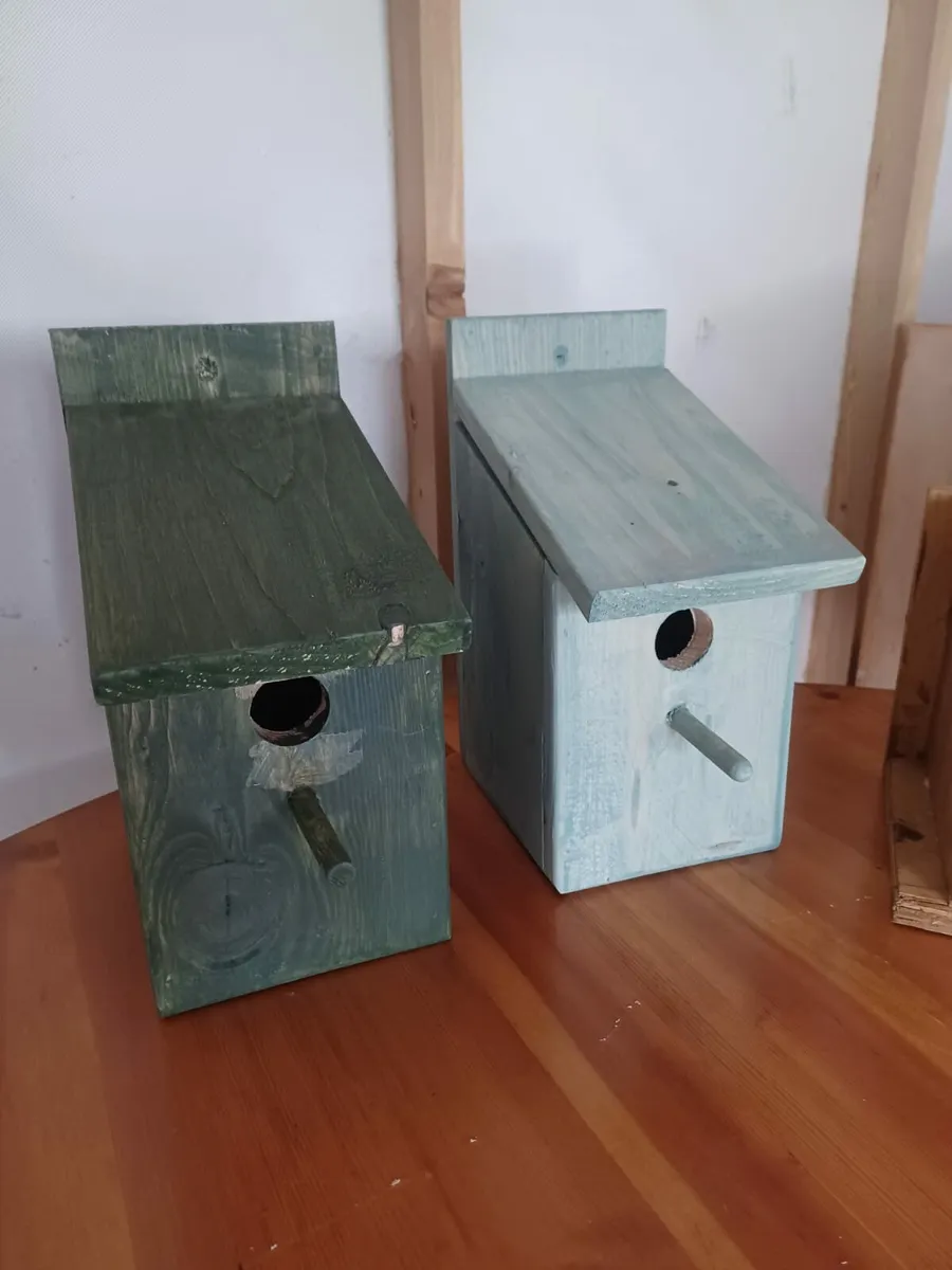 Bird boxes