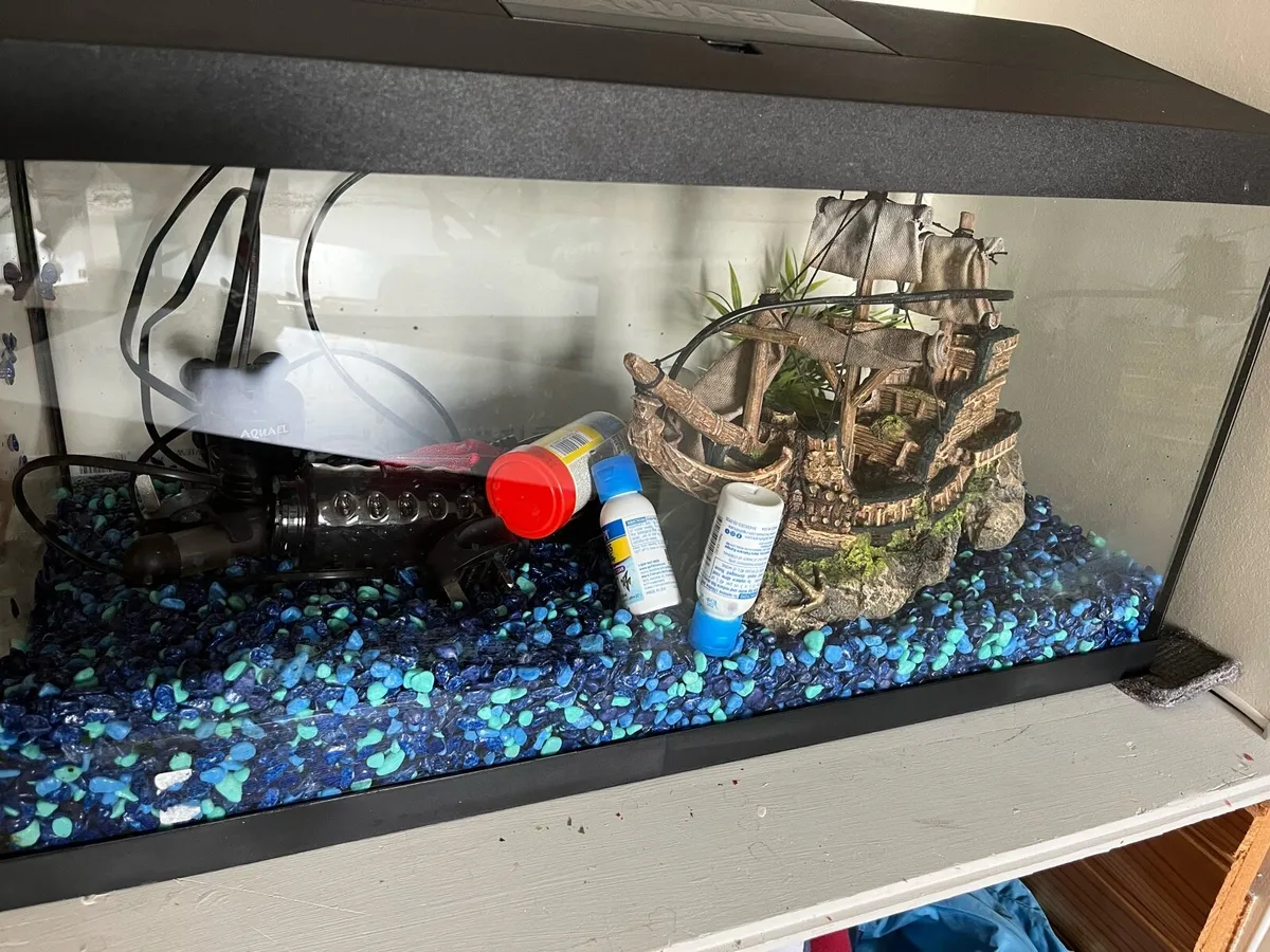 Fish aquarium - Image 1