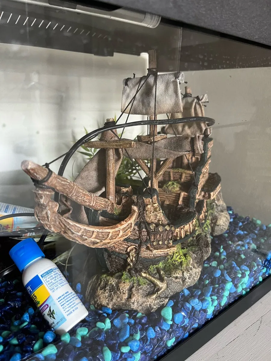 Fish aquarium - Image 2