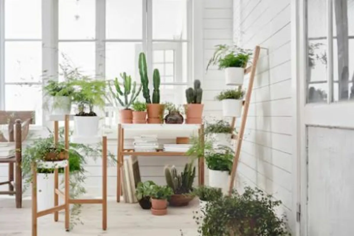 Ikea Satsumas Ladder Plant Stand - Image 3