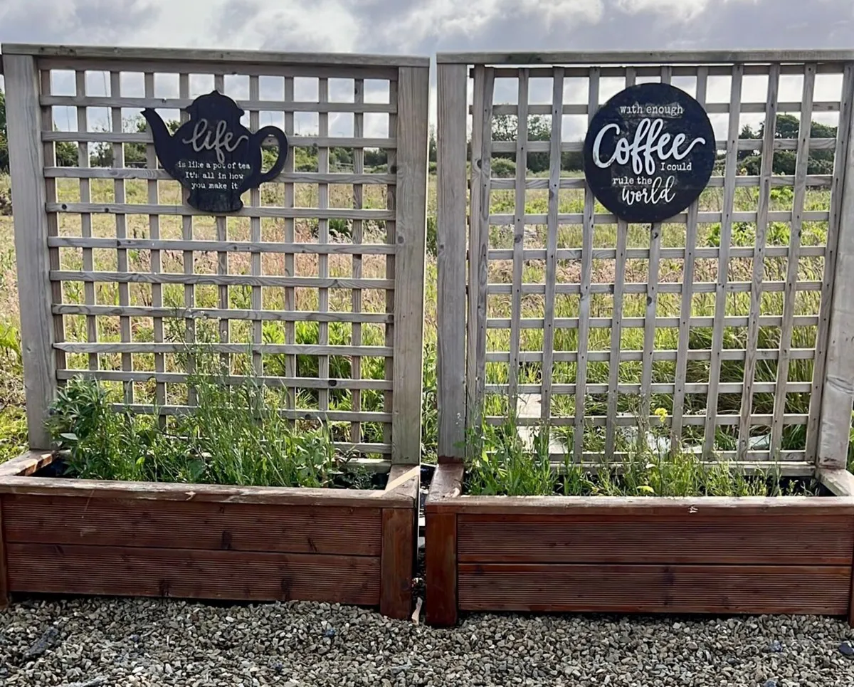 2 Raised garden bed with trellis - Image 2