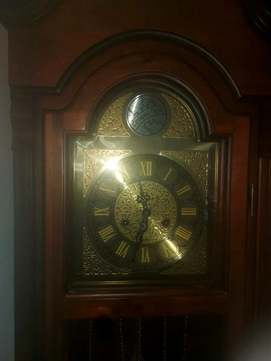 Tempus fugit Grandfather clock - Image 1