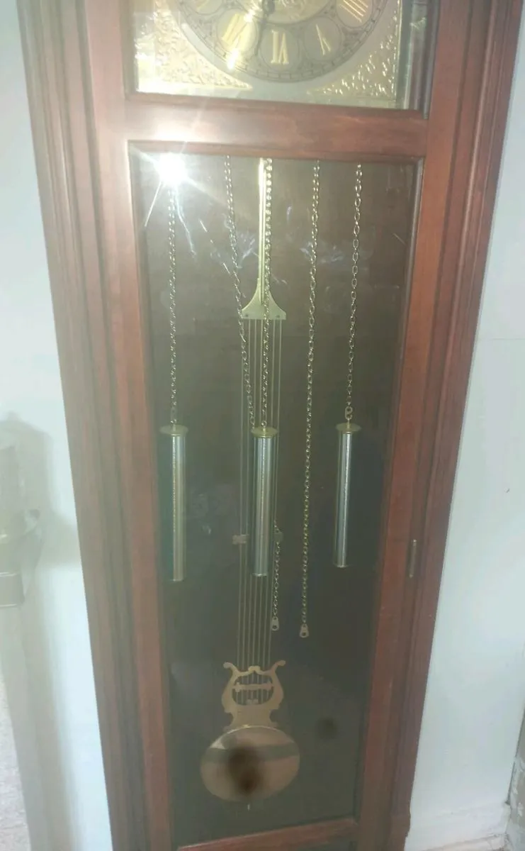 Tempus fugit Grandfather clock - Image 3