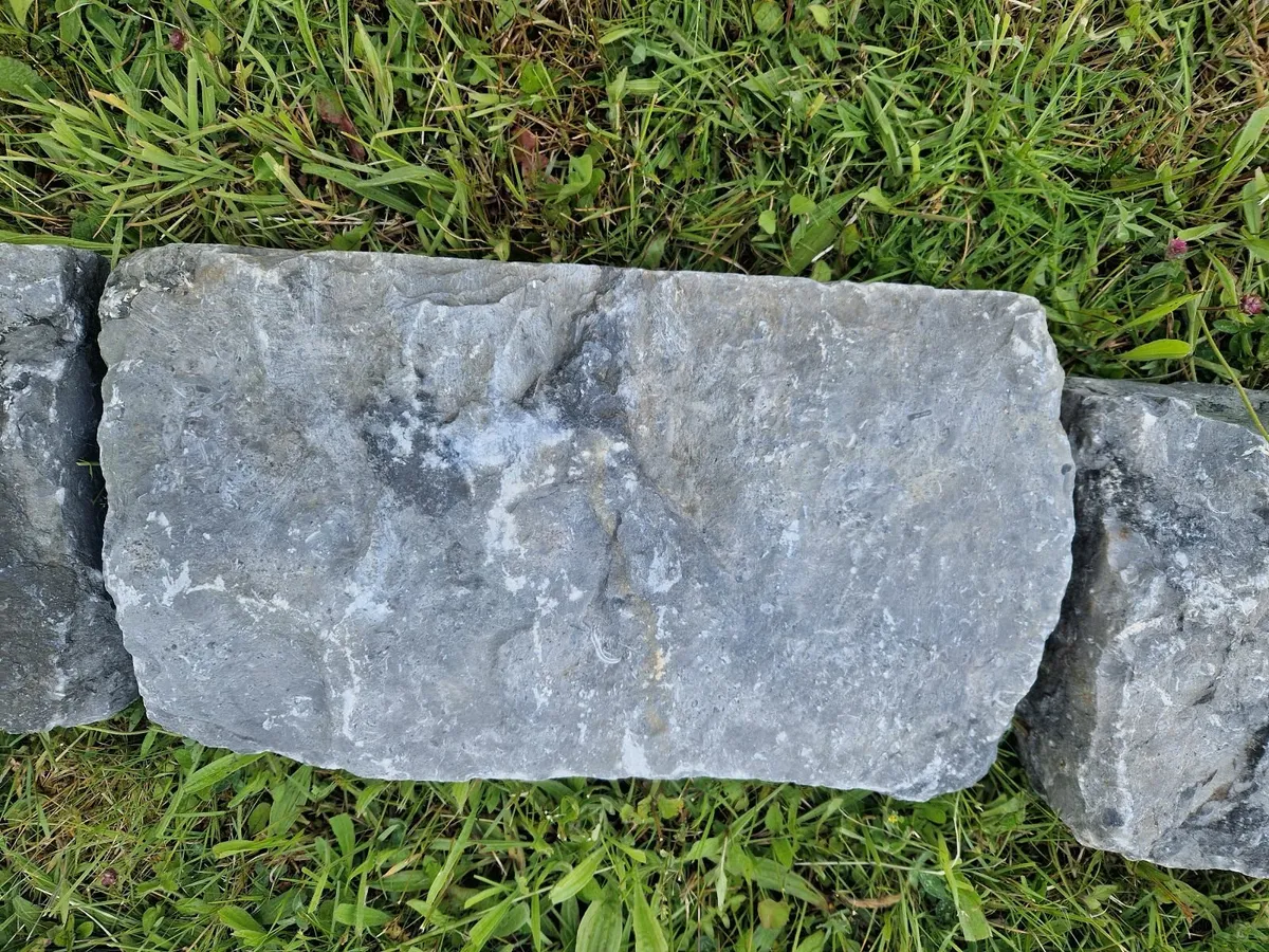 Killkenny Limstone Kerbs - split/rustic 24cm x 17m - Image 3