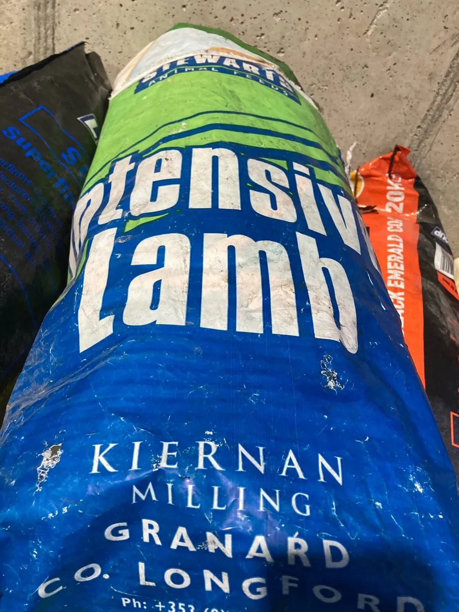 Empty bags - Image 1