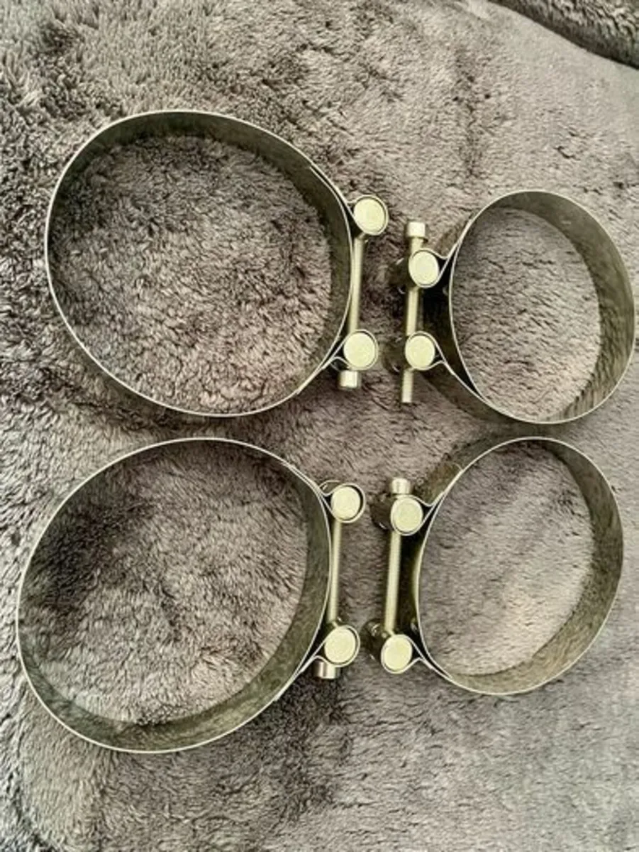 Jubilee clips - Image 1