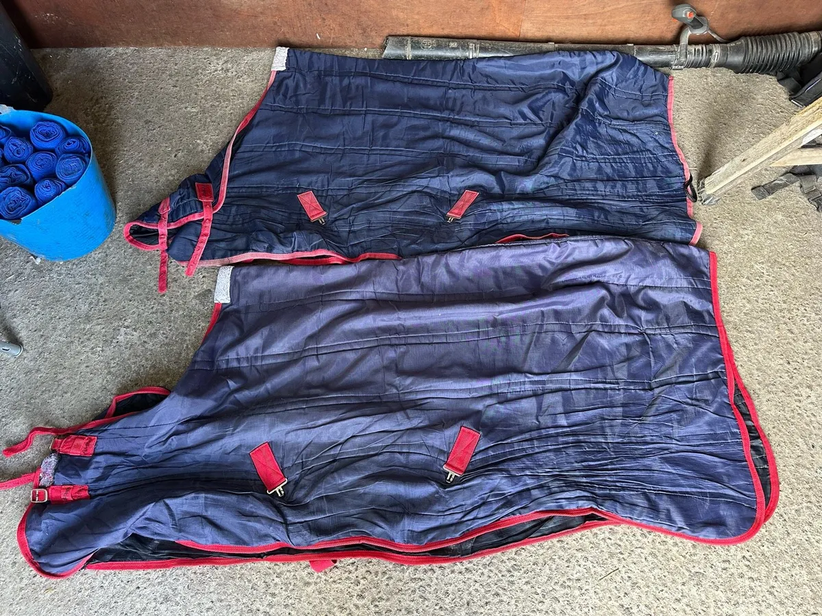 Horse rugs - Image 2