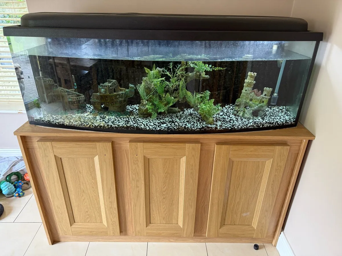 Aquarium with all accessories