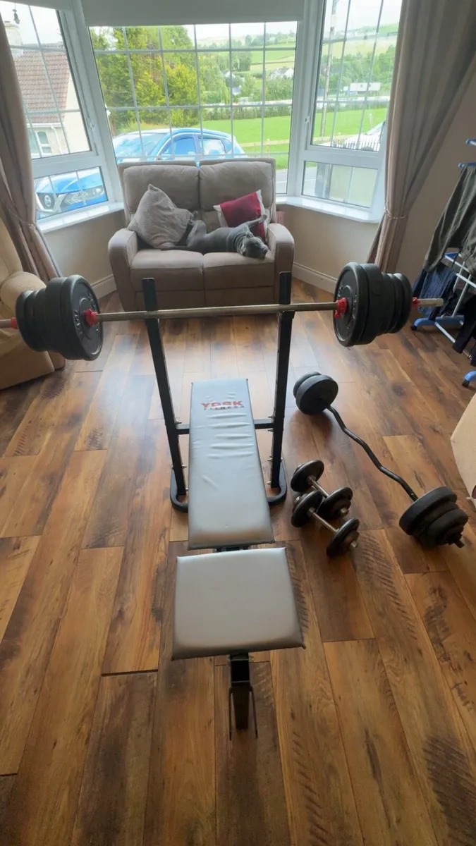 Gym equipment - Image 1