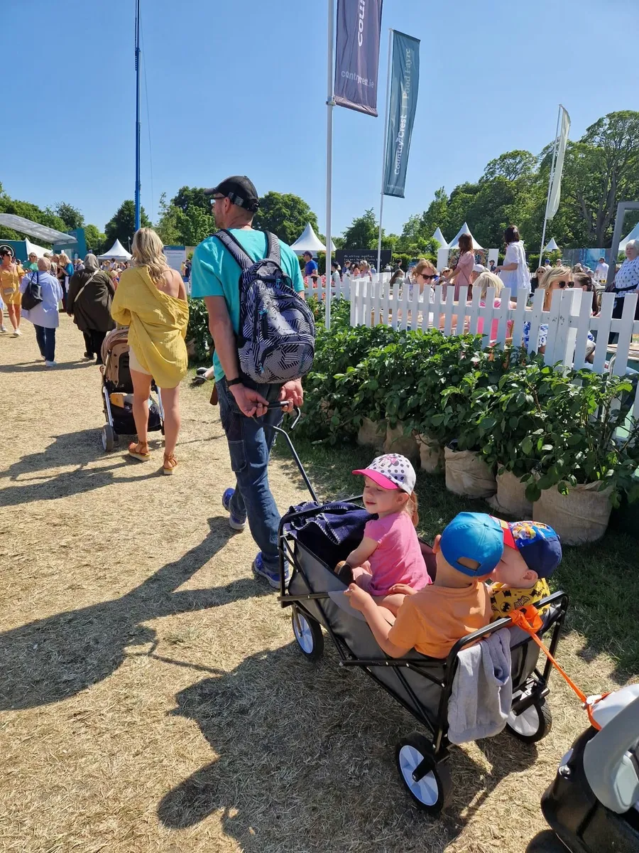 Festival- garden cart - Image 1