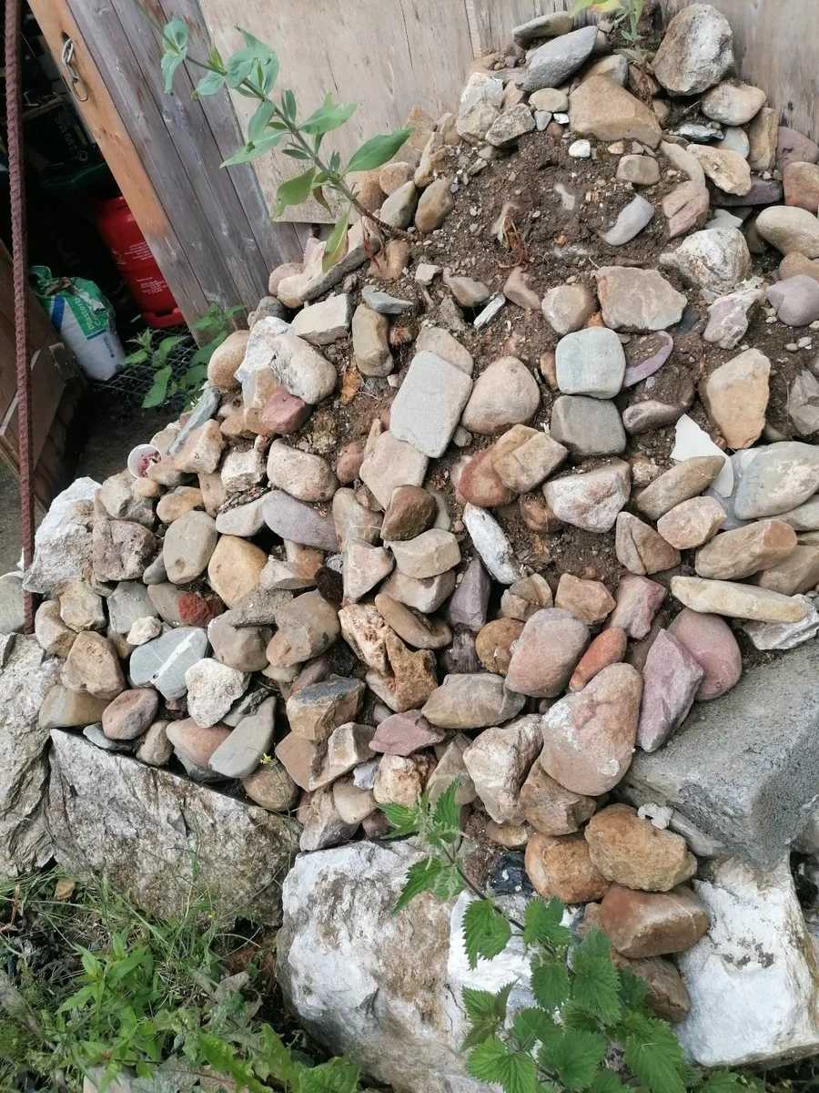Stone cobblestones reclaimed