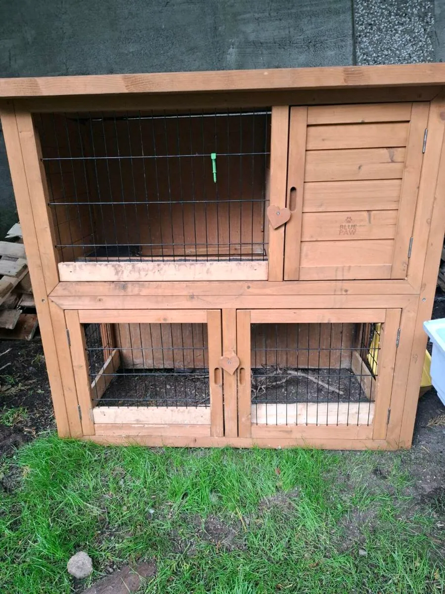 rabit hause - Image 1