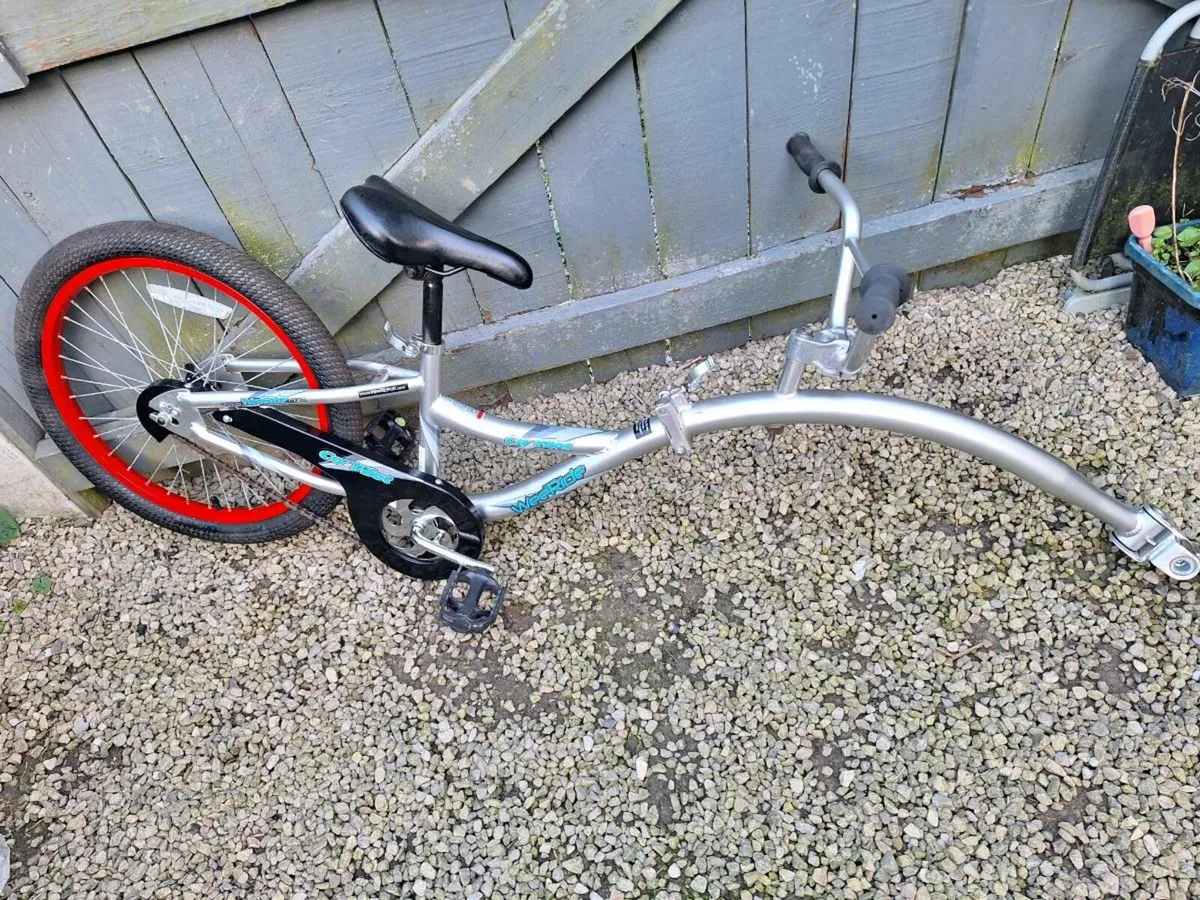 Tagalong Trailer Bike - Image 1