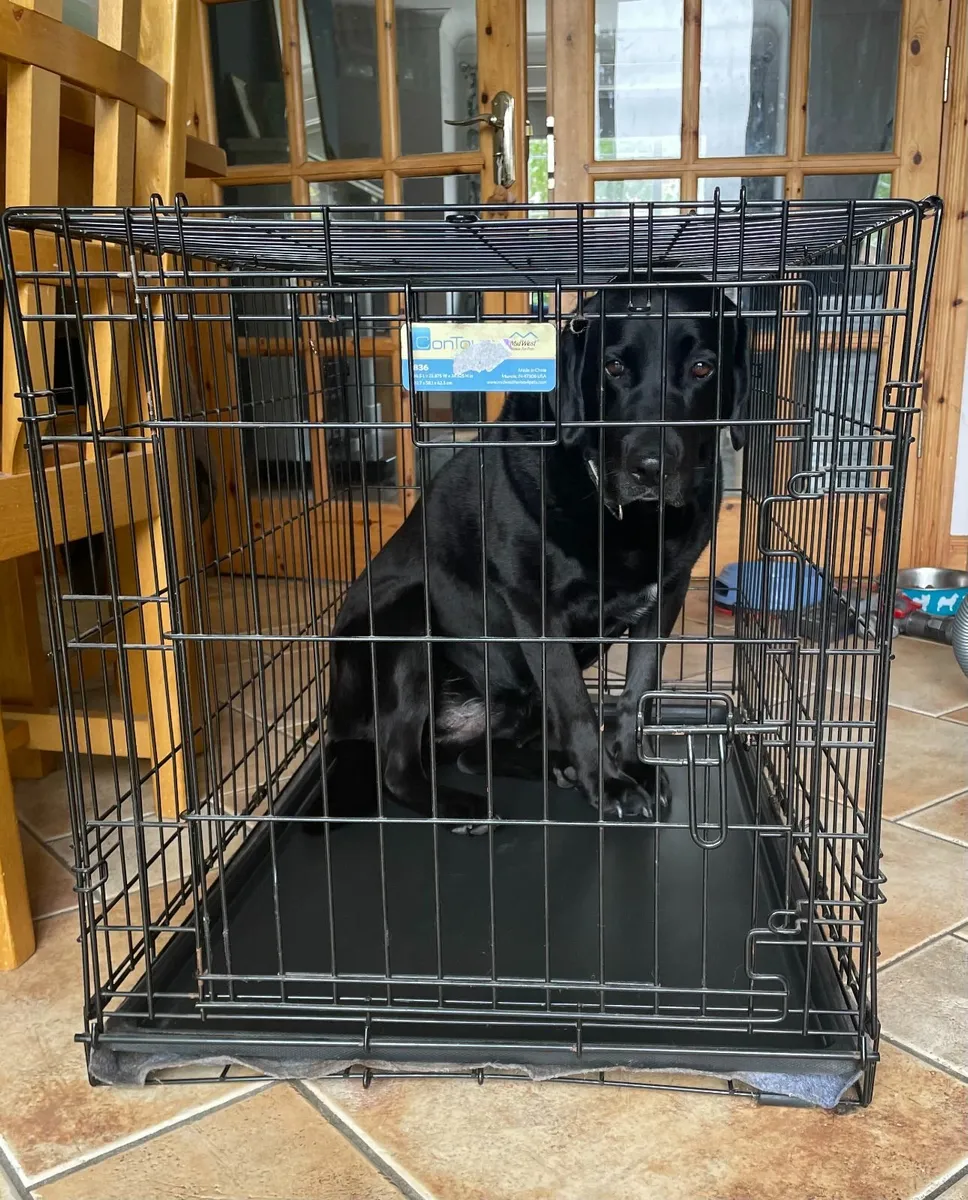Dog Crate Large - Image 4