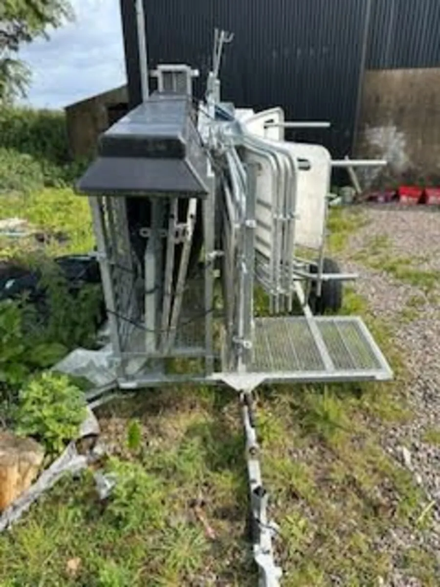 Sheep handling unit - Image 1