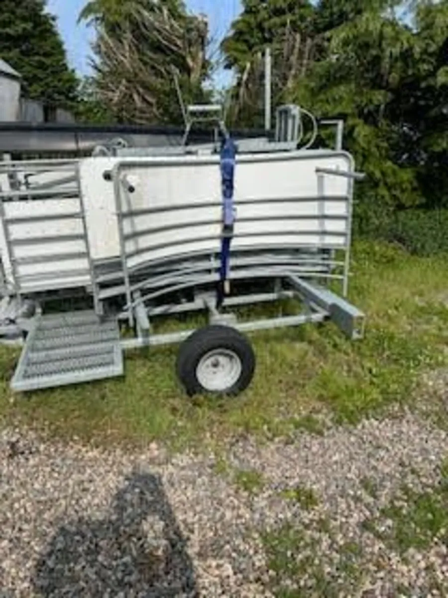 Sheep handling unit - Image 2