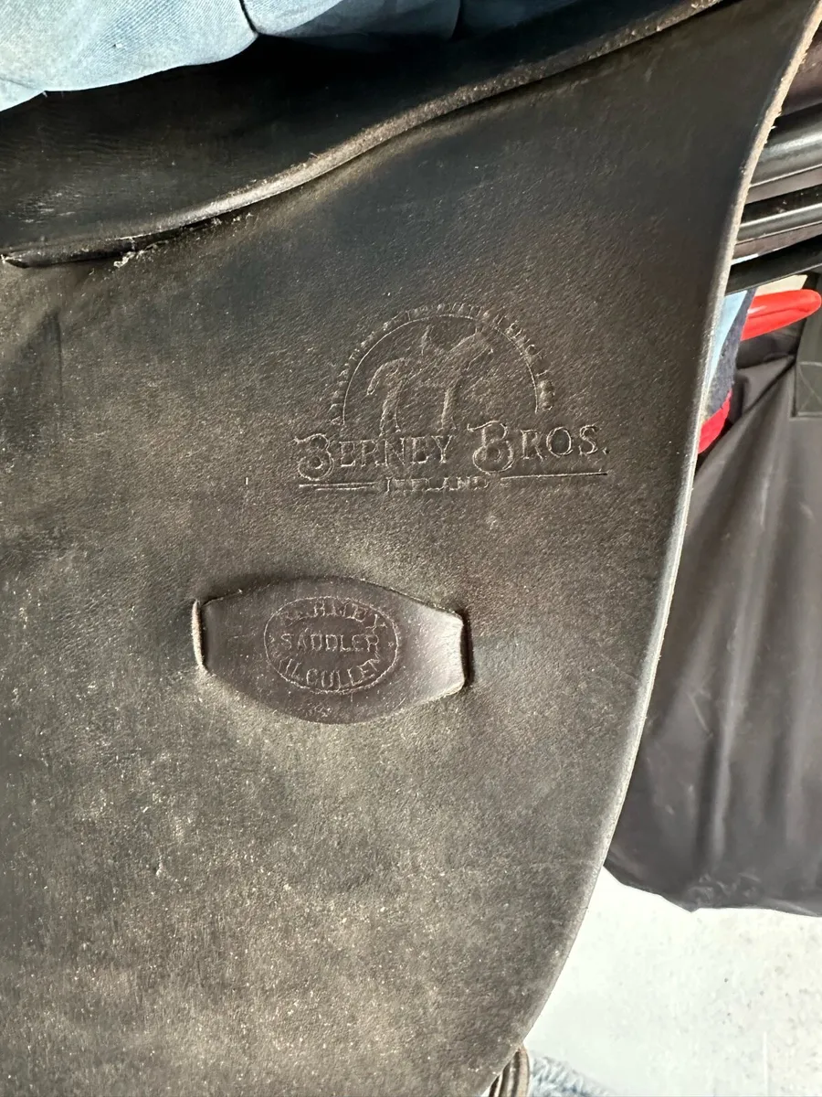 Berneys Exercise saddle - Image 4