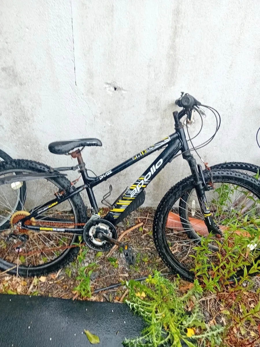 3 bikes - Image 1