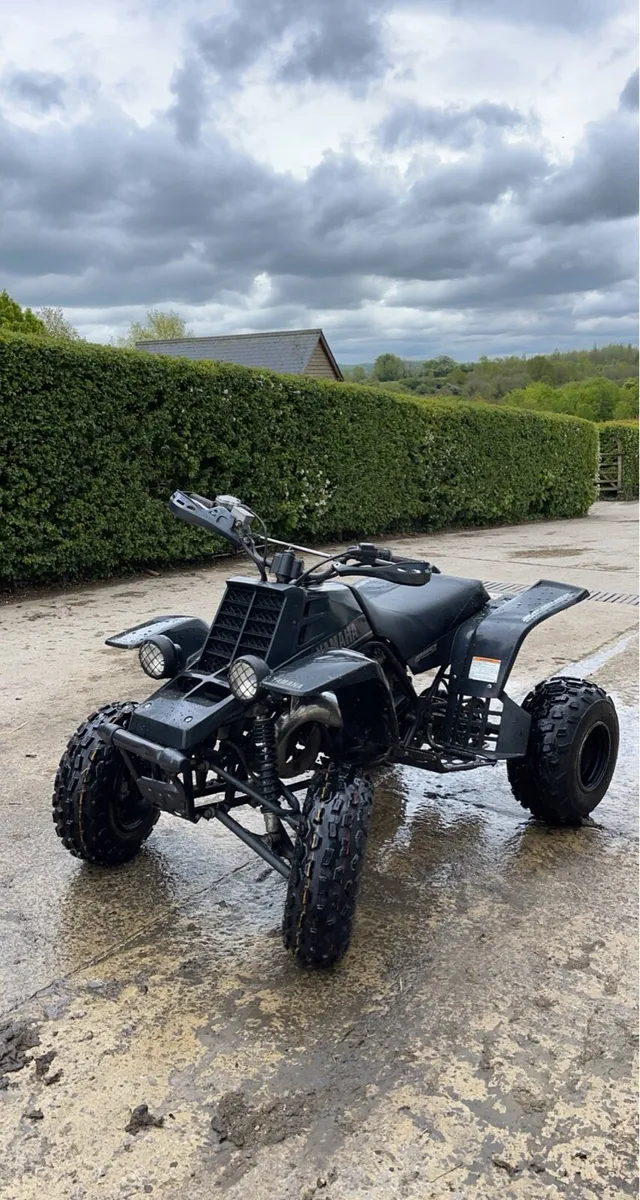 Yamaha banshee 350 - Image 1
