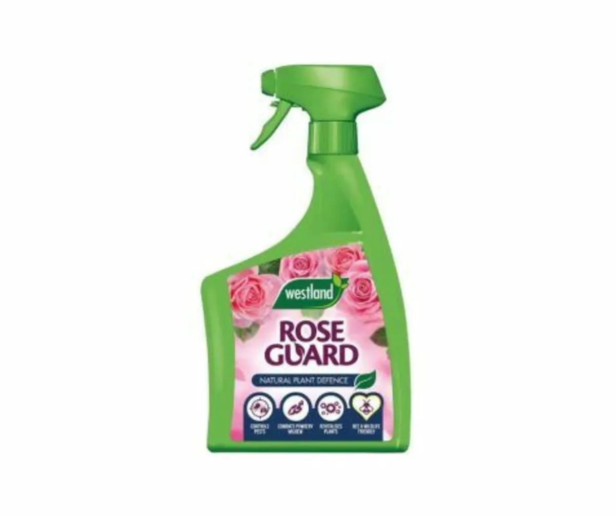 Westland Rose Guard - Image 1