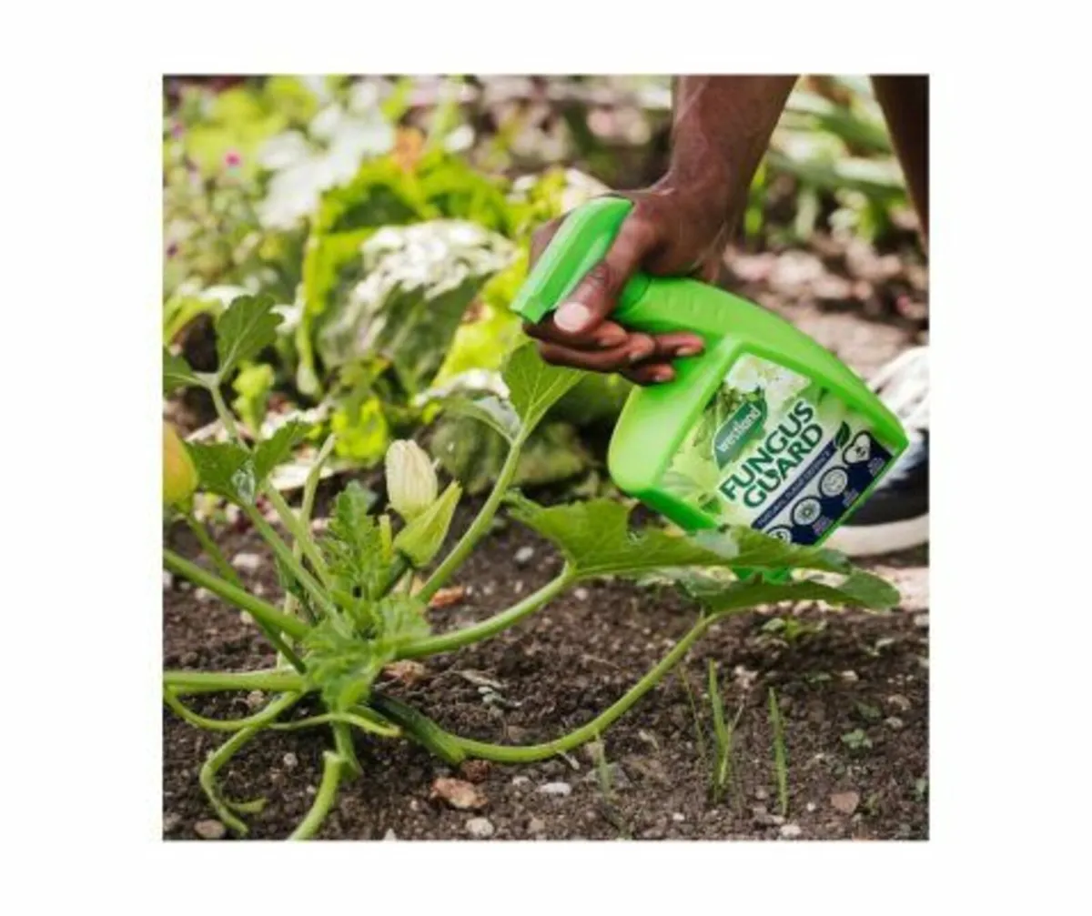 Westland Fungus Guard Spray - Image 1