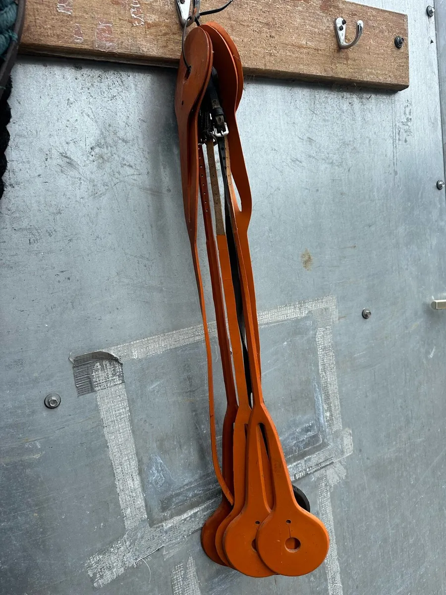 Australian nosebands - Image 1