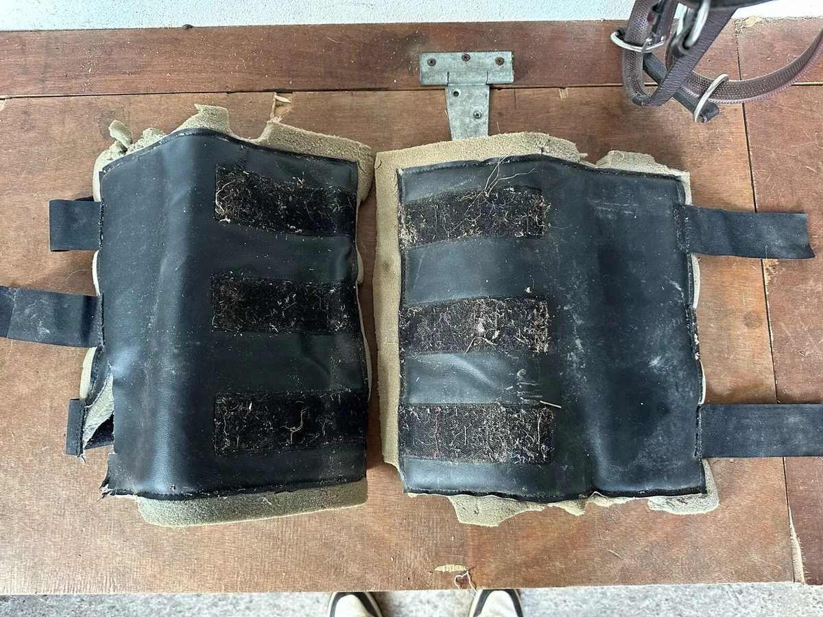 Horse boots - Image 3